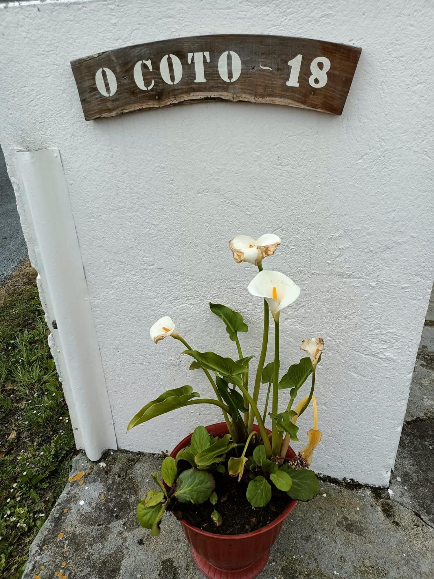 Casa Pancha Vila Ribadeo Exterior foto